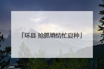 环县 抢抓墒情忙夏种