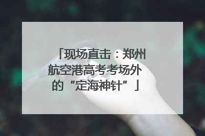 现场直击：郑州航空港高考考场外的“定海神针”
