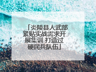 炎陵县人武部紧贴实战需求开展集训 打造过硬民兵队伍