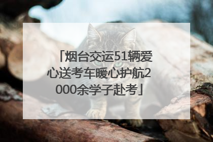 烟台交运51辆爱心送考车暖心护航2000余学子赴考