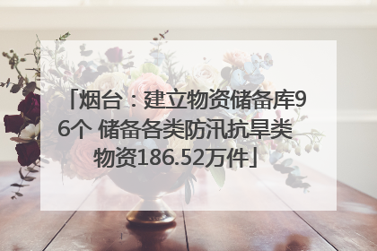 烟台：建立物资储备库96个 储备各类防汛抗旱类物资186.52万件