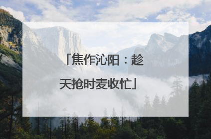 焦作沁阳：趁天抢时麦收忙