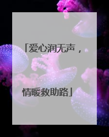 爱心润无声，情暖救助路