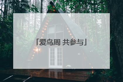 爱鸟周 共参与