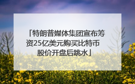 特朗普媒体集团宣布筹资25亿美元购买比特币 股价开盘后跳水