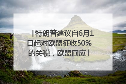特朗普建议自6月1日起对欧盟征收50%的关税，欧盟回应