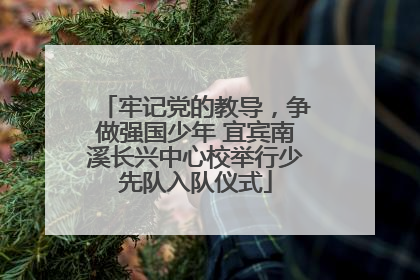牢记党的教导，争做强国少年 宜宾南溪长兴中心校举行少先队入队仪式