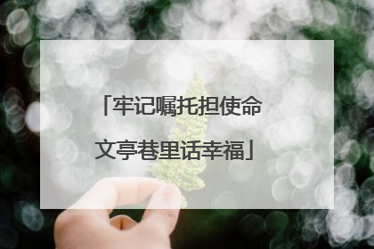 牢记嘱托担使命 文亭巷里话幸福