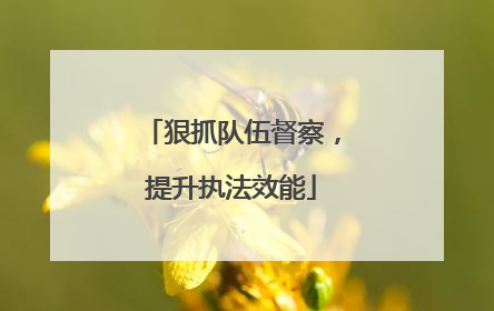 狠抓队伍督察，提升执法效能