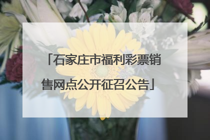 石家庄市福利彩票销售网点公开征召公告
