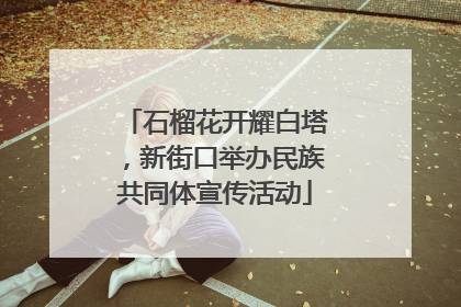 石榴花开耀白塔，新街口举办民族共同体宣传活动