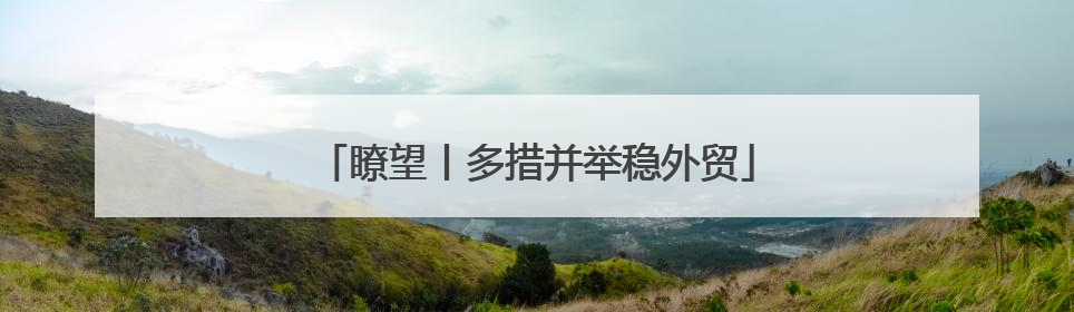 瞭望丨多措并举稳外贸
