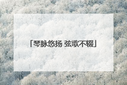 琴脉悠扬 弦歌不辍