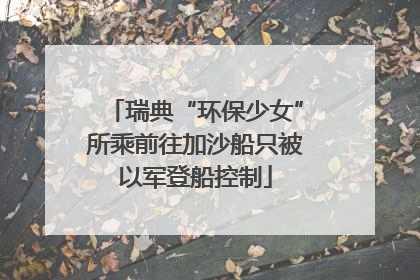 瑞典“环保少女”所乘前往加沙船只被以军登船控制