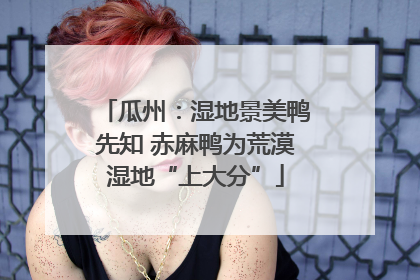 瓜州：湿地景美鸭先知 赤麻鸭为荒漠湿地“上大分”