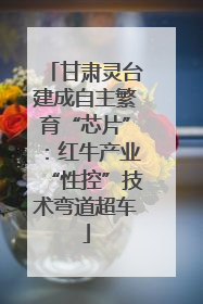 甘肃灵台建成自主繁育“芯片”：红牛产业“性控”技术弯道超车