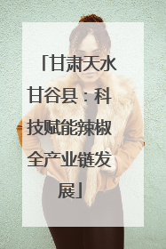 甘肃天水甘谷县：科技赋能辣椒全产业链发展