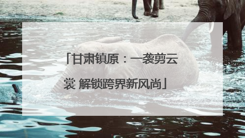 甘肃镇原：一袭剪云裳 解锁跨界新风尚
