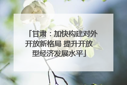 甘肃：加快构建对外开放新格局 提升开放型经济发展水平