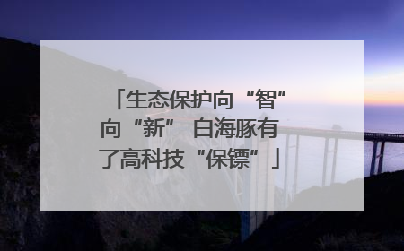 生态保护向“智”向“新” 白海豚有了高科技“保镖”
