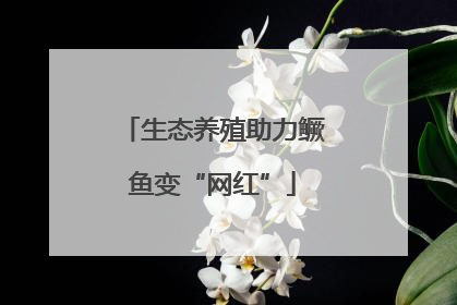生态养殖助力鳜鱼变“网红”