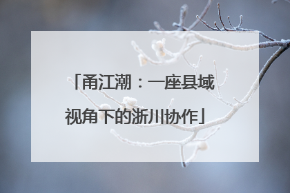 甬江潮：一座县域视角下的浙川协作