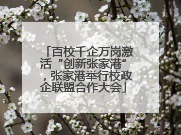 百校千企万岗激活“创新张家港”，张家港举行校政企联盟合作大会