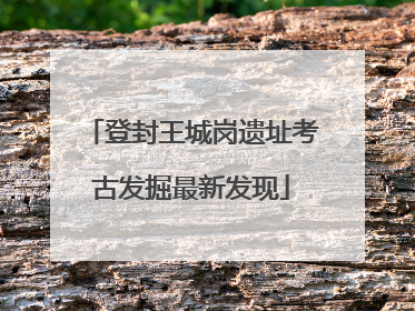 登封王城岗遗址考古发掘最新发现