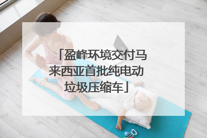 盈峰环境交付马来西亚首批纯电动垃圾压缩车