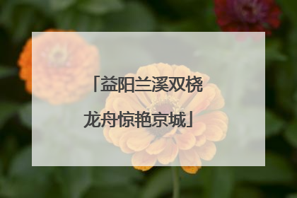 益阳兰溪双桡龙舟惊艳京城