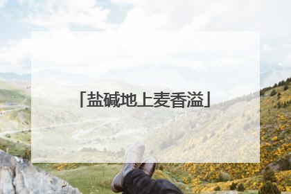 盐碱地上麦香溢
