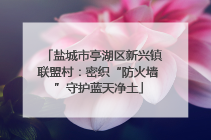 盐城市亭湖区新兴镇联盟村：密织“防火墙”守护蓝天净土