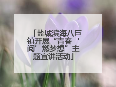 盐城滨海八巨镇开展“青春‘阅’燃梦想”主题宣讲活动