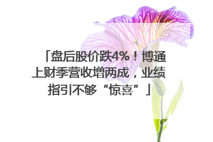 盘后股价跌4%！博通上财季营收增两成，业绩指引不够“惊喜”