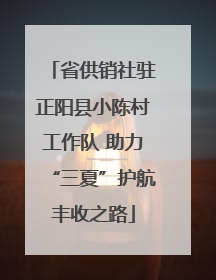 省供销社驻正阳县小陈村工作队 助力“三夏”护航丰收之路