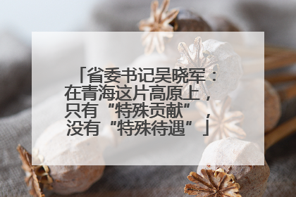 省委书记吴晓军：在青海这片高原上，只有“特殊贡献”，没有“特殊待遇”