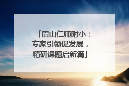 眉山仁师附小：专家引领促发展，精研课题启新篇