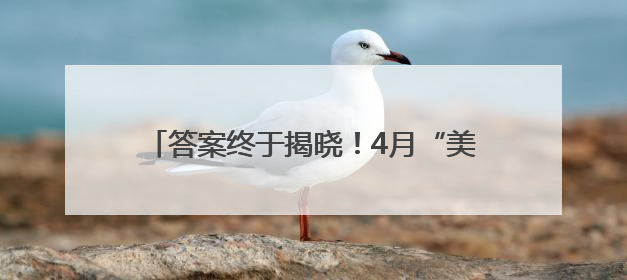 答案终于揭晓！4月“美债风暴”时 美国海外“债主”们都在做什么？