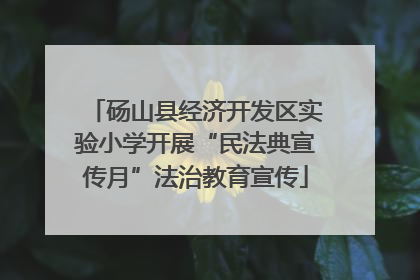 砀山县经济开发区实验小学开展“民法典宣传月”法治教育宣传