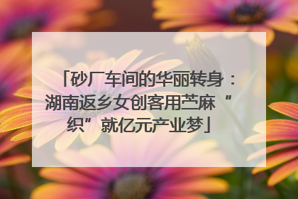 砂厂车间的华丽转身：湖南返乡女创客用苎麻“织”就亿元产业梦