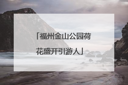 福州金山公园荷花盛开引游人