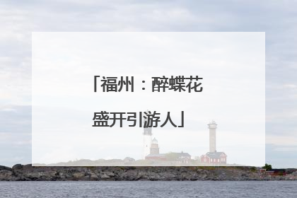 福州：醉蝶花盛开引游人