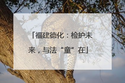 福建德化：检护未来，与法“童”在