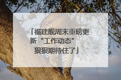福建舰周末重磅更新“工作动态”  狠狠期待住了