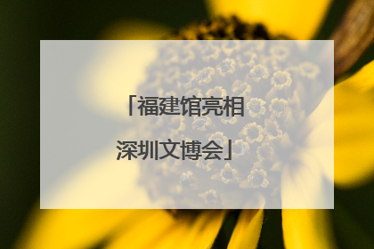 福建馆亮相深圳文博会