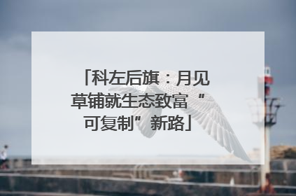 科左后旗：月见草铺就生态致富“可复制”新路