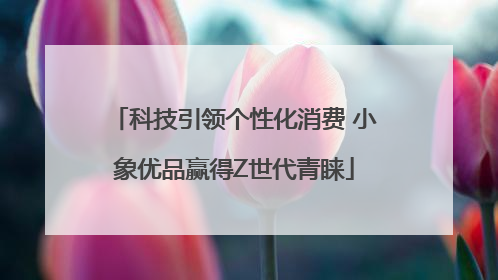 科技引领个性化消费 小象优品赢得Z世代青睐