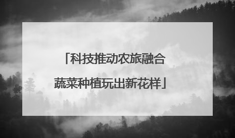 科技推动农旅融合 蔬菜种植玩出新花样