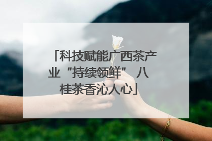科技赋能广西茶产业“持续领鲜” 八桂茶香沁人心