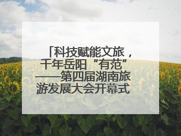 科技赋能文旅，千年岳阳“有范”——第四届湖南旅游发展大会开幕式暨文化旅游推介会侧记